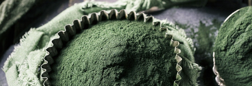 bienfaits de la spiruline